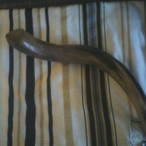 Meet your Posher, Arthur